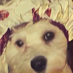 Meet your Posher, Shanique